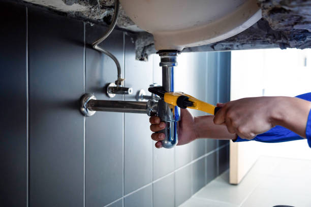 Trusted La Vergne, TN Plumbing services Experts